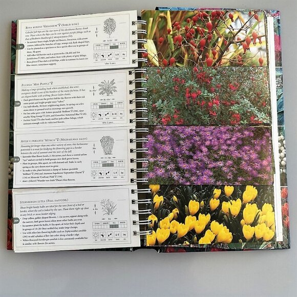 GARDEN PLANNER PERFECT BEDS & BORDERS BOOK - Picture 8 of 12